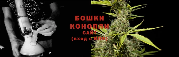 дурь Горно-Алтайск
