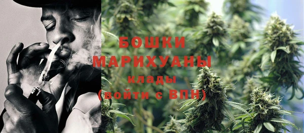 дурь Горно-Алтайск