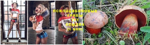 MDMA Горнозаводск