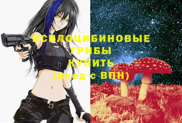 MDMA Горнозаводск