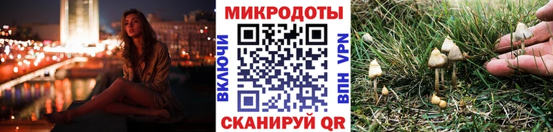 omg ссылка  где найти   Гусиноозёрск  Галлюциногенные грибы Psilocybine cubensis 